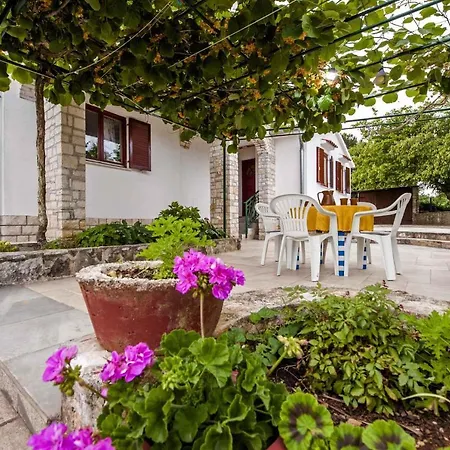 Apartment In Rovinj/istrien 11561