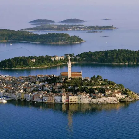 In - Istrien 11561 * 로비니