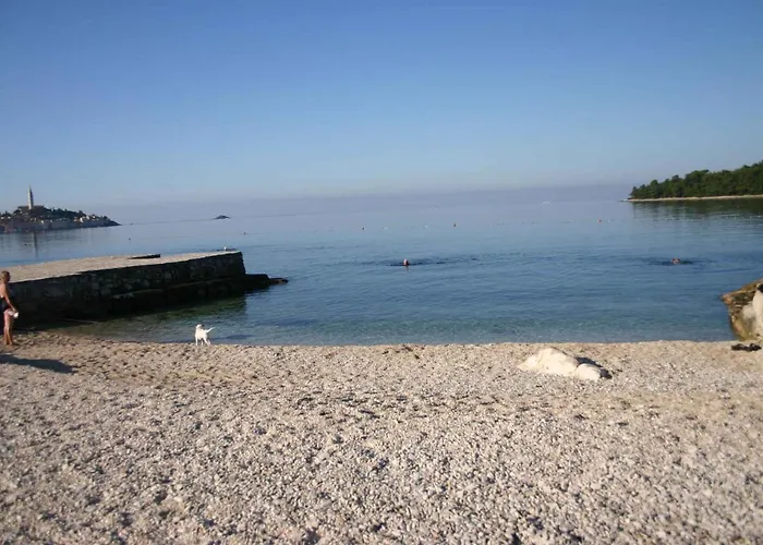 아파트 In - Istrien 11561 *