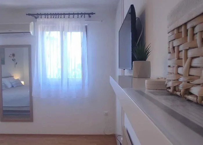 In - Istrien 11561 로비니