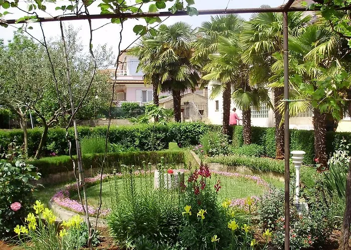 In - Istrien 11561 * 로비니